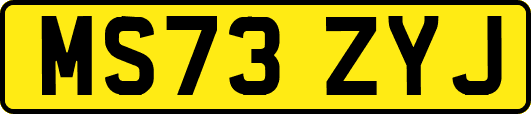MS73ZYJ