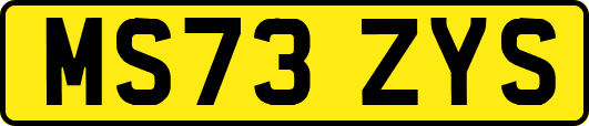 MS73ZYS