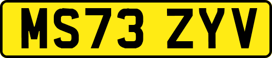 MS73ZYV