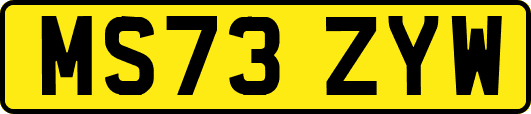 MS73ZYW