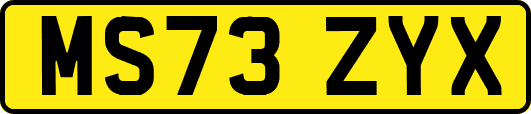 MS73ZYX