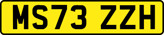 MS73ZZH