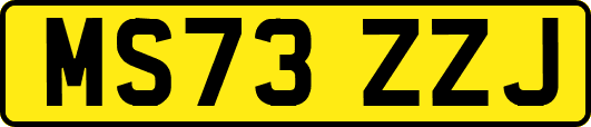 MS73ZZJ