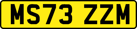 MS73ZZM