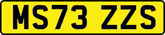 MS73ZZS