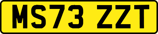 MS73ZZT