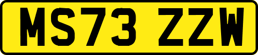 MS73ZZW