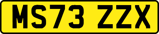 MS73ZZX
