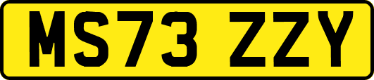 MS73ZZY