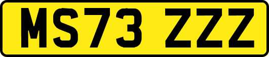 MS73ZZZ