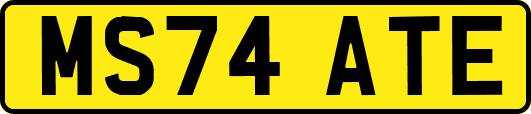 MS74ATE