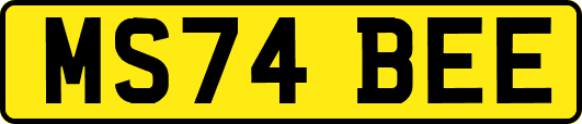 MS74BEE