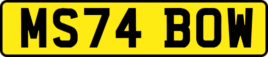 MS74BOW