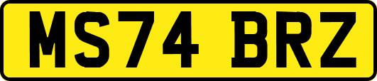 MS74BRZ