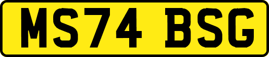 MS74BSG