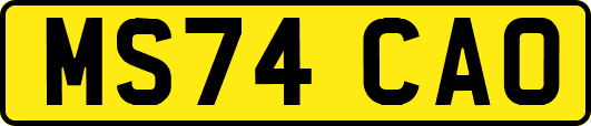 MS74CAO