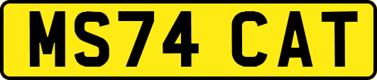 MS74CAT