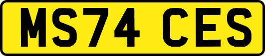 MS74CES