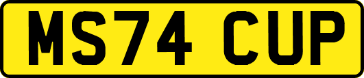 MS74CUP