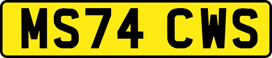 MS74CWS