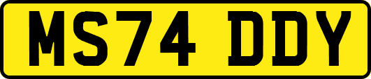 MS74DDY