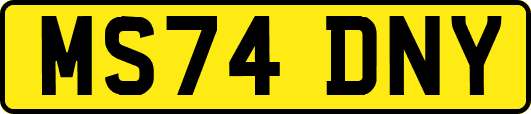 MS74DNY