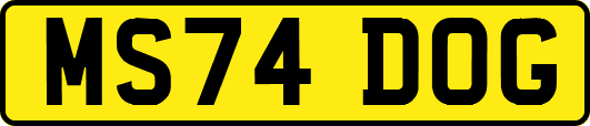 MS74DOG