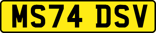 MS74DSV