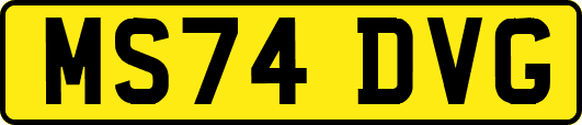 MS74DVG