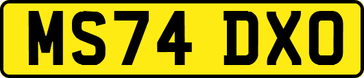 MS74DXO