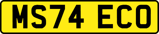 MS74ECO