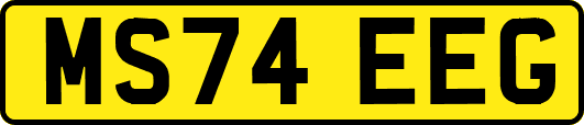MS74EEG