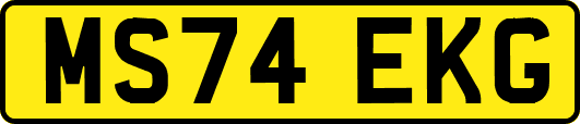 MS74EKG