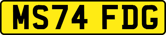 MS74FDG