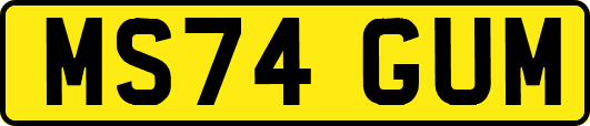 MS74GUM