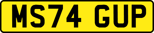 MS74GUP