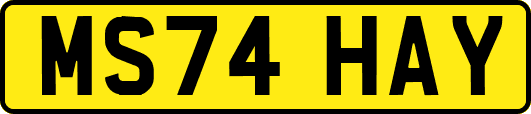 MS74HAY