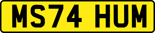 MS74HUM