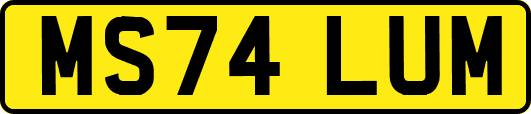 MS74LUM