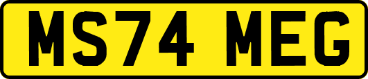 MS74MEG
