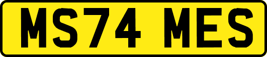 MS74MES