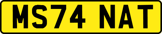 MS74NAT
