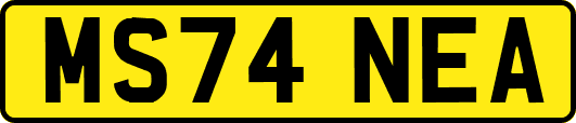 MS74NEA
