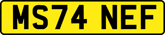 MS74NEF