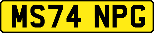 MS74NPG