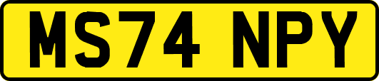 MS74NPY