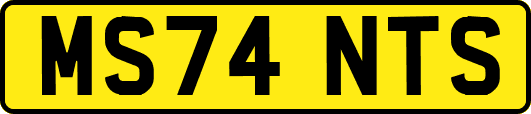 MS74NTS