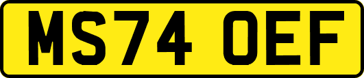 MS74OEF