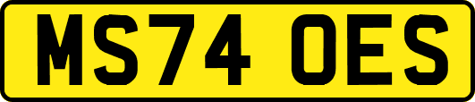 MS74OES