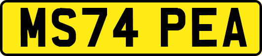 MS74PEA